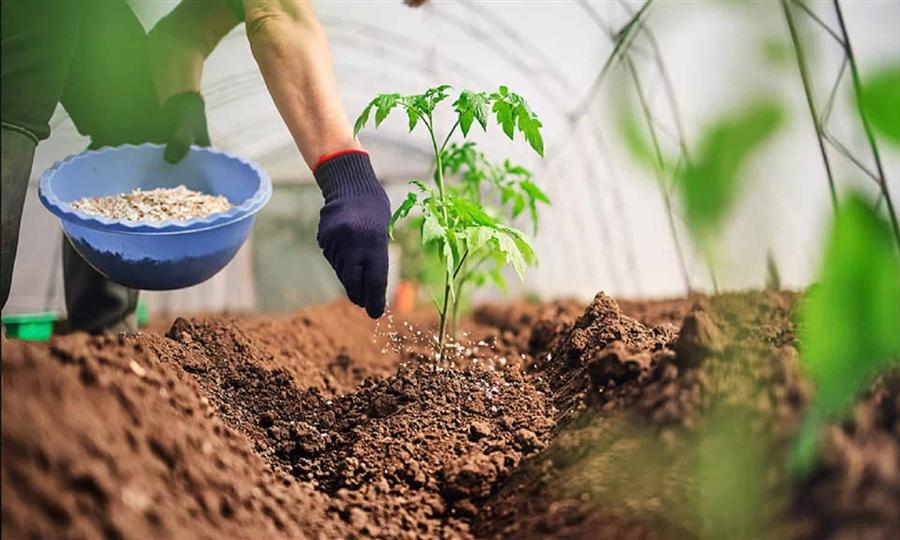 فيركيم تقرر المشاركة في تأسيس مجمع صناعي لانتاج الأسمدة المركبة